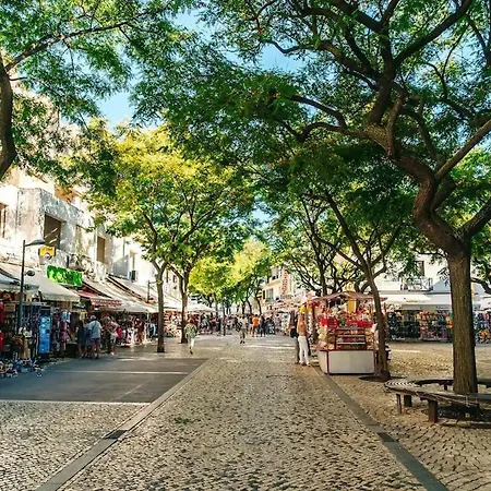 W Swim Pool And Seaview Lejlighed Albufeira